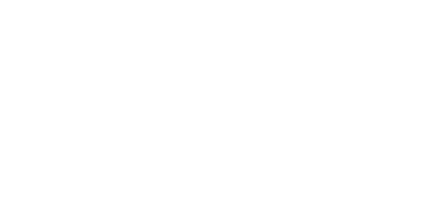 Righetto Vet